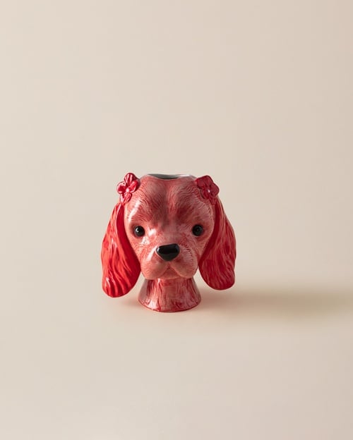 Chloe Biblo - Renkli